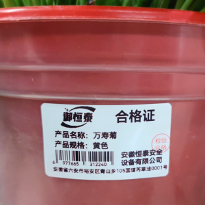 御恒泰 万寿菊 黄色 束