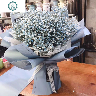 520满天星干花大花束鲜花速递装饰摆设云南真花送女友生日封后P013蓝色满天星