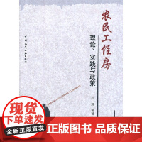 农民工住房理论、实践与政策