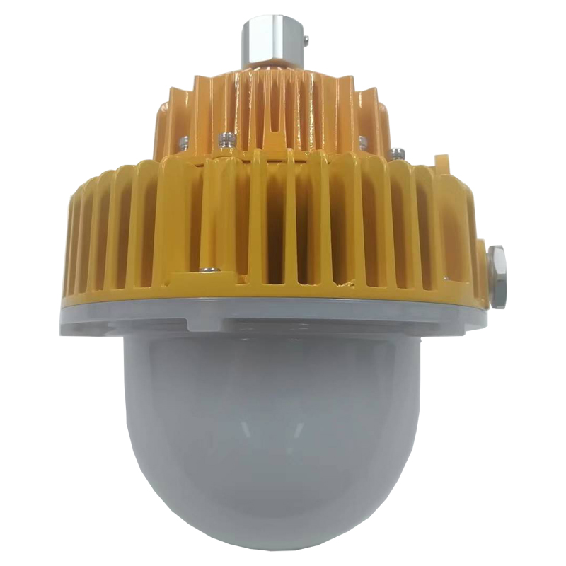 光大特照 EBF605(L) LED AC220V 80W IP66 5700K 抗震防爆平台灯 (计价单位:盏) 黄色