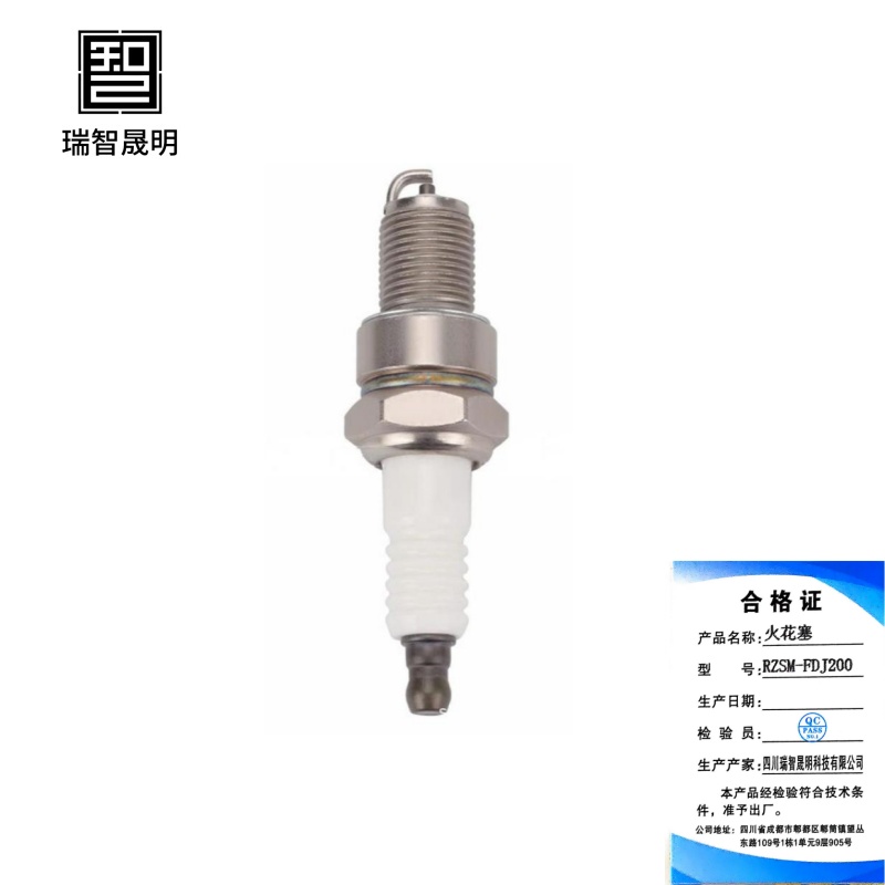 瑞智晟明(RZSM)火花塞RZSM-FDJ200