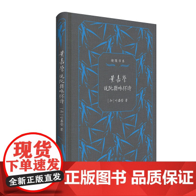 叶嘉莹说阮籍咏怀诗(迦陵书系 典藏版) 叶嘉莹 中华书局 正版书籍