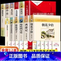 初中必读名著全套12本+考点手册(手册封面随机) 初中通用 [正版]2024初中名著导读考点精练必bi读名著12部24部