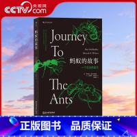 [正版]央视网蚂蚁的故事 插图普利策奖书目灵感动物科普百科生物多样性昆虫研究读本毛盛贤动物学昆虫学 亲子阅读科普图书籍