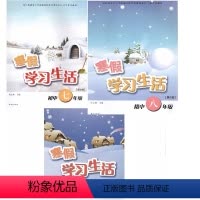 8年级 初中通用 [正版]寒假学习生活七八九年级第2版译林出版社789初一二三年级全一册初中上册下册衔接基础知识专项训练