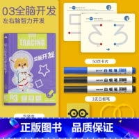 [全脑开发]一盒体验装 [正版]幼儿控笔训练幼儿园幼小衔接练字帖专注力训练字小学生可反复使用趣味训练卡3-8岁儿童启蒙益