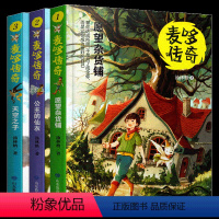 [正版] 麦哆传奇天空之子+公主的仙衣+愿望杂货铺3本套装6-12岁中小学生课外阅读幻想小说 中小学教辅 中小学课外