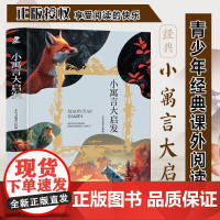 小寓言大启发 三年级四年级课外阅读赏析 五年级六年级经典名人名著故事 6-12岁少儿趣味故事读物 全国通用版无障碍课外