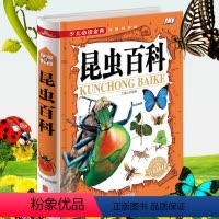 [正版]少儿爱读金典-昆虫百科(四色彩印)科普百科全书 昆虫记 儿童文学 动物知识图书 青少年校园课外读物 618