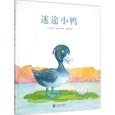 [M]迷途小鸭-9787550262331