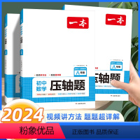 初中数学压轴题 八年级/初中二年级 [正版]2024新版 一本数学压轴题 八年级初中数学有理数方程初二数学必刷题上下册通