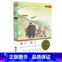 [正版]桥下一家人 国际大奖小说升级版非注音版小学生三四五六年级语文课外读物纽伯瑞儿童文学奖银奖儿童故事小说阅读系列