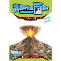 正版新书]奇趣少儿百科:火山与地震印度Xact出版集团编著,方逸