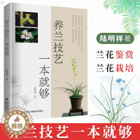 [醉染正版]养兰技艺一本就够 养花书籍种花大全 养花书籍 技术 兰花品种大全书 兰花养殖栽培技术养兰花的书家庭养花书籍
