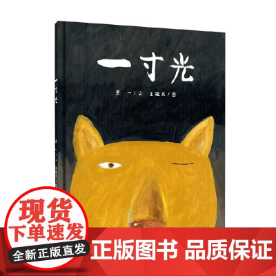 一寸光 3-6岁 愚一 著 儿童绘本