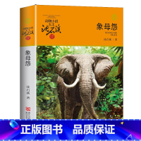 象母怨 [正版]沈石溪动物小说品藏书系列全集36册 斑羚飞渡第七条猎狗后一头战象雪豹悲歌珍藏版全套画本生肖