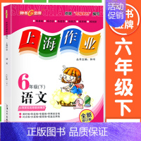 六年级 下册语文 小学通用 [正版]2024钟书金牌上海作业四年级上册数学五年级六年级一二三年级七八九年级上册下册语文英