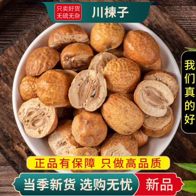 川楝子100克正品楝树子实楝实苦楝子石茱萸金铃子仁枣9260