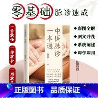 中医脉诊一本通 [正版]中医脉诊一本通 脉象切脉脉诊一本通 中医诊断望诊舌诊中医入门仲景脉学脉学歌诀中医基础脉诊入门基础