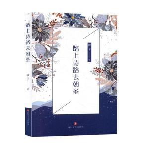 正版新书]踏上诗路去朝圣敏子9787541155727