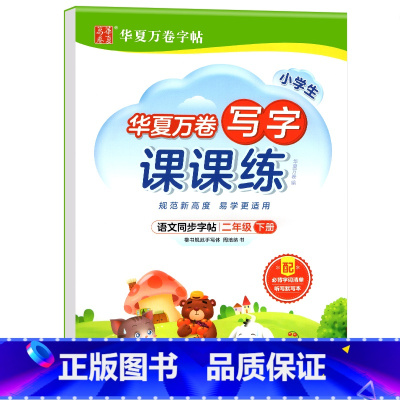写字课课练.二下 [正版]写字课课练 一二年级三四年级五六年级上册下册语文同步练字帖人教版小学生字帖练字本一课一练字帖硬
