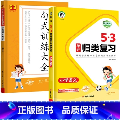 23版》2本[语文]53归类复习+53句式训练大全 二年级上 [正版]2023版53单元归类复习一年级二年级三四五六年级