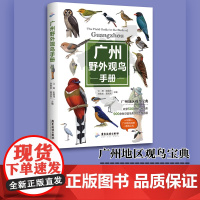广州野外观鸟手册江涛著中小学观鸟实践活动500余种鸟类的形态特征生境习性观鸟爱好者生态保护广州观鸟点手绘图鉴和照片书籍