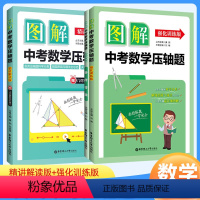精讲解读+强化训练 2本套装 九年级/初中三年级 [正版]图解中考数学压轴题 精讲解读+强化训练版 含详细参考答案 中考