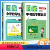 精讲解读+强化训练 2本套装 九年级/初中三年级 [正版]图解中考数学压轴题 精讲解读+强化训练版 含详细参考答案 中考
