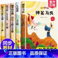 [正版]SK全套5册神笔马良二年级课外书必读经典书目注音版七色花书愿望的实现一起长大的玩具快乐读书吧下册阅读小鲤鱼跳龙