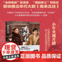 南来北往 高满堂著 白敬亭金晨领衔主演年代大剧南来北往同名小说 迷雾深渊 悬案追凶推理小说文学正版书籍榜