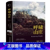 B16-1-呼啸山庄-苹果树系列 [正版]B16-1-呼啸山庄-苹果树系列