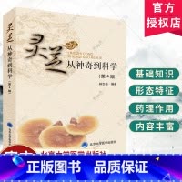 [正版]灵芝从神奇到科学 第4版 林志彬 编著 灵芝功效和使用价值的实用指导书 灵芝的有效成分和药理作用 北京大学医学