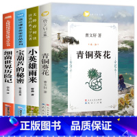 [4本]四年级经典书目全套 [正版]青铜葵花完整版原版曹文轩系列儿童文学8-12岁小学生课外阅读书籍必读草房子芦花鞋人教