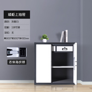 东升顺办公钢制保密柜办公文件柜电子密码锁档案柜资料储物柜加厚铁皮柜档案柜