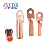 JSUDR东润DT铜鼻子接线端子 DT-6 +个