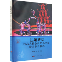 音像艺苑荟萃 河北吴桥杂技艺术学校精品节目教程齐志义,王洋 编