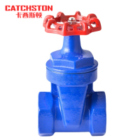 卡西斯顿 铸铁丝扣闸阀 DN25 个