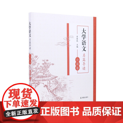 大学语文名篇导读 · 小说卷 苏爱风 / 中国文学一本书了解中国小说的发展/导读+注释+作者简介+名家对作品的点评 [凤