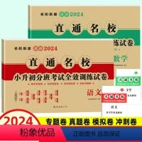 [正版]2024版直通名校小升初分班考试全效训练试卷 语文数学2本套 名校名卷 小学毕业升学重点初中六年级真题详解初一