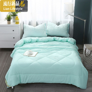 四季家访被子水洗棉夏凉被可机洗春秋空调被芯单双人学生冬被 三维工匠