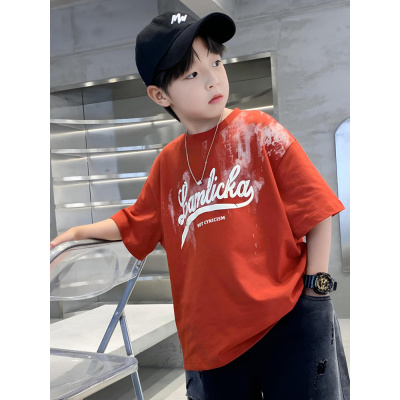 男童短袖T恤2025新款儿童装夏装纯棉体恤男孩夏季半袖中大童夏款t