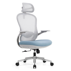 匡大办公椅高级电脑椅人体工学办公椅A2516G