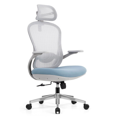 匡大办公椅高级电脑椅人体工学办公椅A2516G