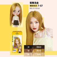 施华蔻泡泡染发剂染发膏2025流行色自己在家染氨基酸泡沫染发霜110ml蜜糖浅金膏染