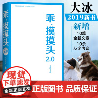乖摸摸头2.0 大冰作品 重写续写增写原书内容 增加10篇全新文章 暖心励志故事 青春文学现代文学随笔小说 大冰暖心故事