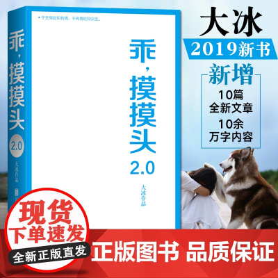乖摸摸头2.0 大冰作品 重写续写增写原书内容 增加10篇全新文章 暖心励志故事 青春文学现代文学随笔小说 大冰暖心故事