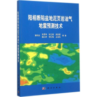 音像陆相断陷盆地泥页岩油气地震预测技术谭明友 等 著