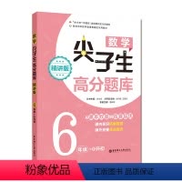 [正版]数学尖子生高分题库(精讲版)(6年级+小升初)