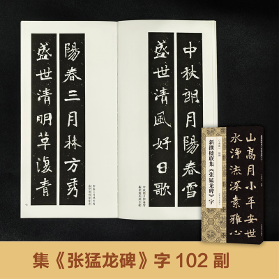 正版新书]新撰楹联集《张猛龙碑》字郭振一 编9787540169176